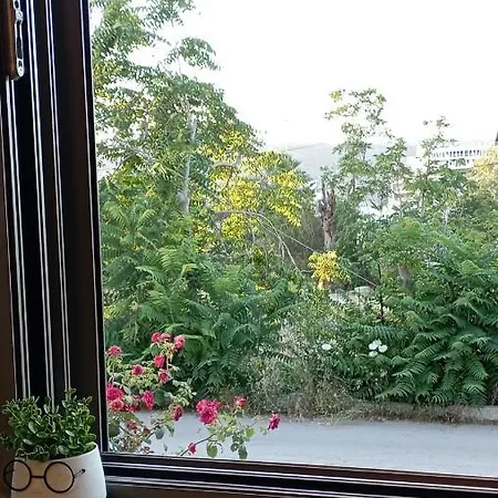 Dream House בית נופש *