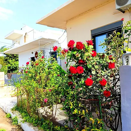 Dream House סודה
